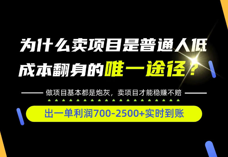 普通人如何靠互联网賺取自己的第一桶金！全类目实操型教学，看完你全都懂了！【揭秘】-旺仔资源库