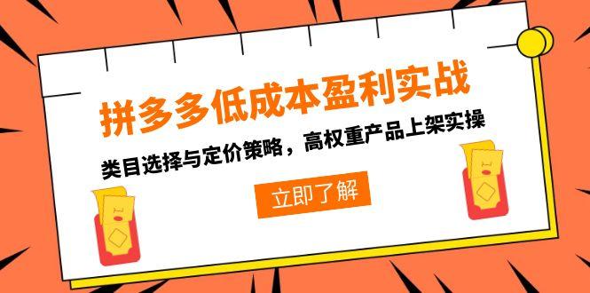 拼多多低成本盈利实战，类目选择与定价策略，高权重产品上架实操-旺仔资源库