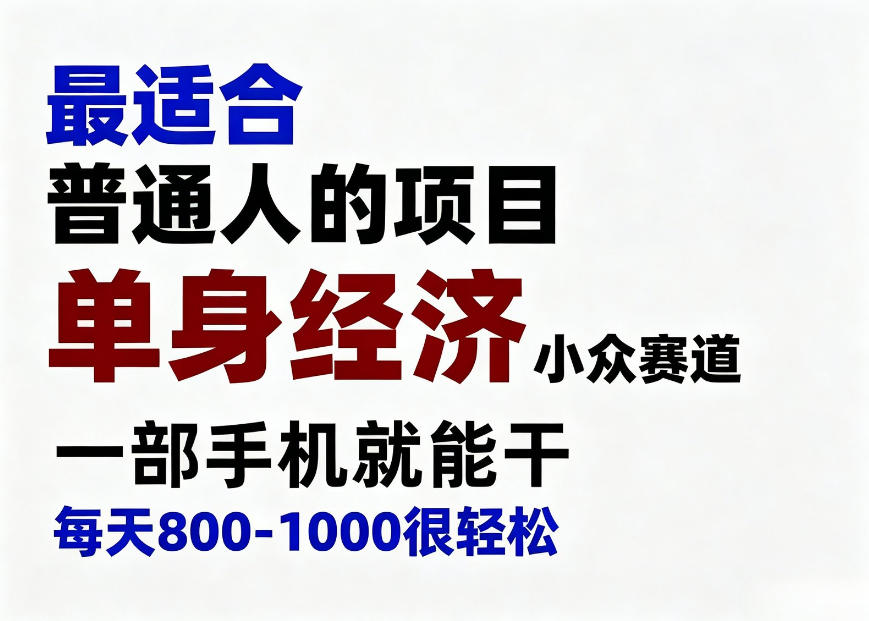 身经济小众赛道，一部手机就能干，每天搞个800-1000很轻松，最适合普通人的项目【揭秘】-旺仔资源库