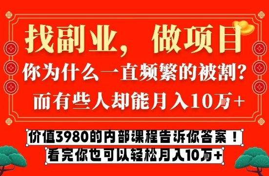 价值3980的网创内部课程，告诉你互联网创业月入10个W的秘密【揭秘】-旺仔资源库