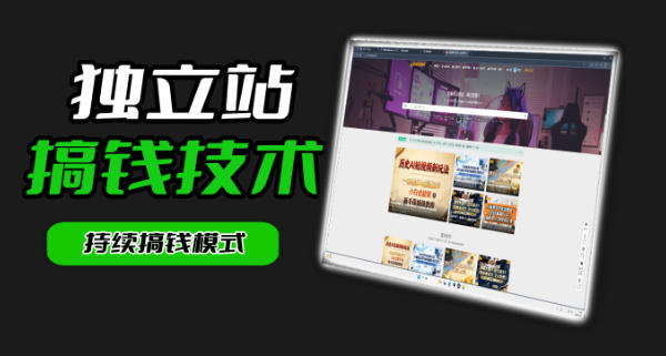 干货来袭!麦子甜带你吃透独立站|从搭建到引流一站式教学《独立站》第一期-旺仔资源库