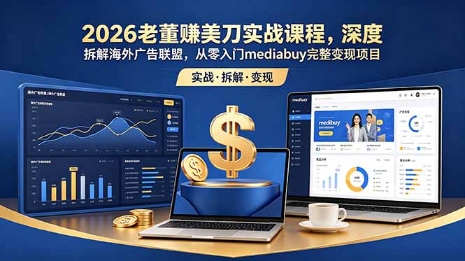 2026老董赚美刀实战课程,深度拆解海外广告联盟,从零入门mediabuy完整变现项目-旺仔资源库
