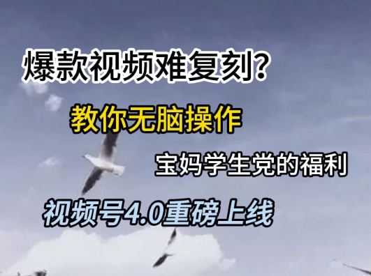 视频号4.0重磅上线，爆款视频难复刻？教你无脑操作宝妈学生党的福利【揭秘】-旺仔资源库