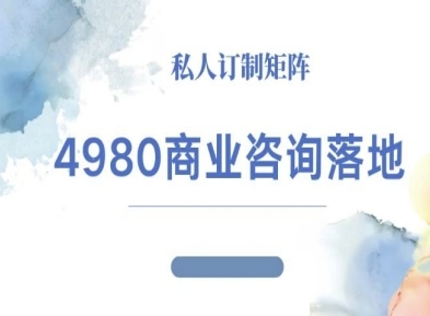 4980商业咨询师落地课程-ip运营高客单教程-旺仔资源库