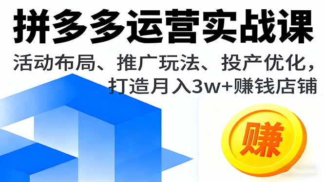 拼多多运营实战课，活动布局、推广玩法、投产优化，打造月入3w+赚钱店铺-旺仔资源库