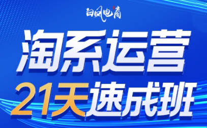 白凤电商·淘系运营21天速成班(更新6月)-旺仔资源库