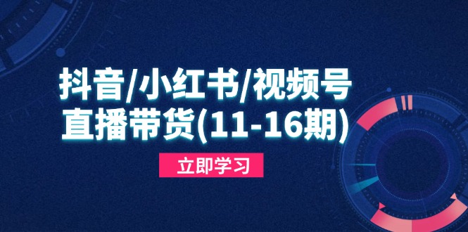 抖音/小红书/视频号/直播带货(11-16期-旺仔资源库