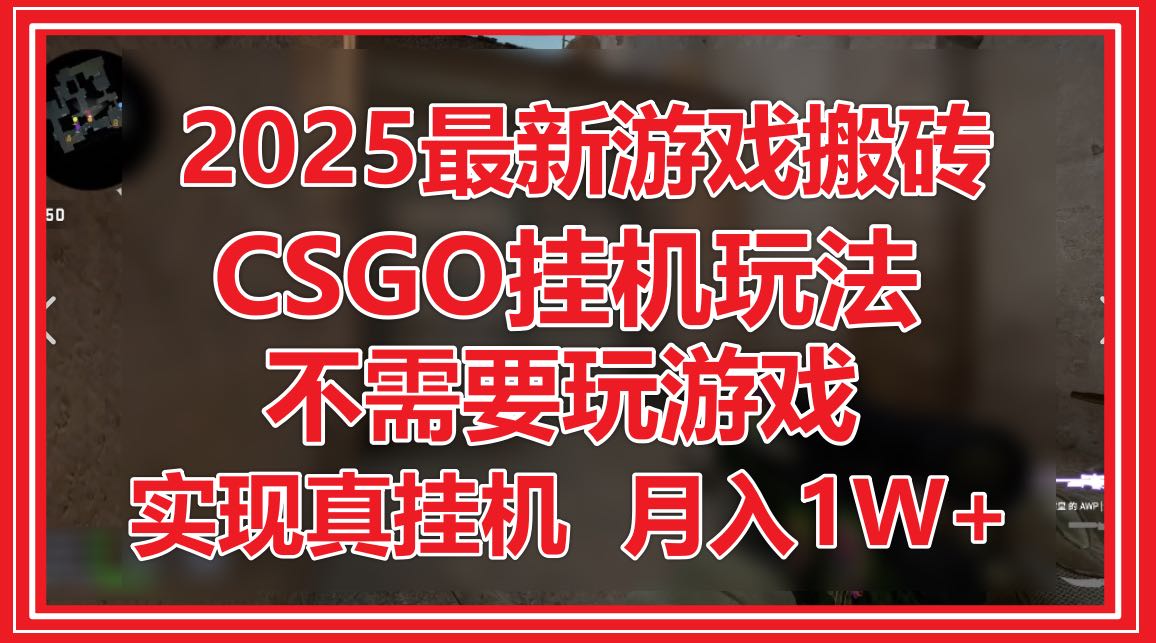 2025最新游戏搬砖，CSGO挂机，不需要玩游戏，实现真挂机，月入1W+-旺仔资源库