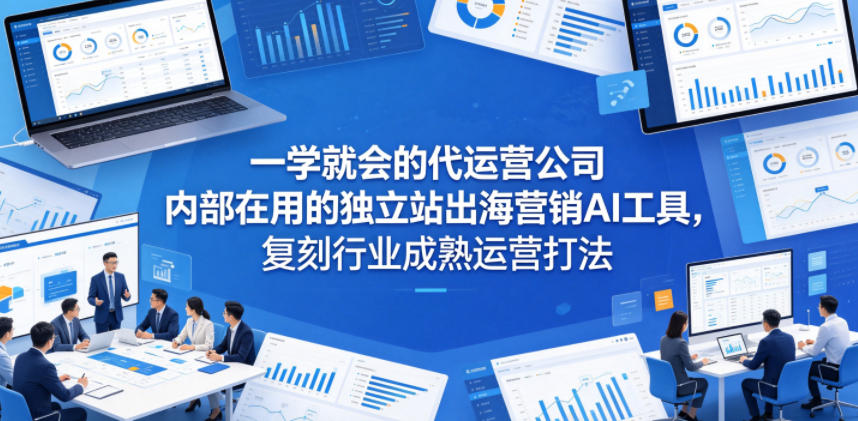 一学就会的代运营公司内部在用的独立站出海营销AI工具，复刻行业成熟运营打法-旺仔资源库