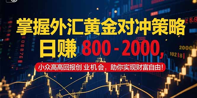 掌握外汇黄金对冲策略，日赚 800 – 2000，小众高回报创业机会，助你实…-旺仔资源库