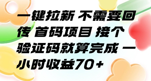 一键拉新 不需要回传 首码项目 接个验证码就算完成 一小时收益70+【揭秘】-旺仔资源库