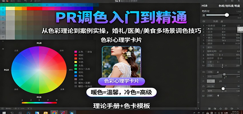 PR调色入门到精通：从色彩理论到案例实操，婚礼/医美/美食多场景调色技巧-旺仔资源库