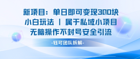 新项目单日即可变现3张的小白玩法无脑操作不封号安全引流-旺仔资源库