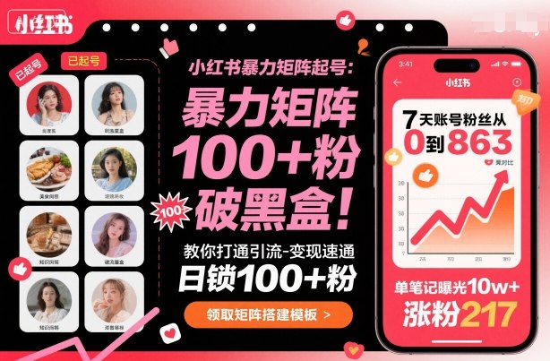 小红书暴力矩阵起号，教你打通引流-变现速通，日锁100+粉，破流量黑盒-旺仔资源库