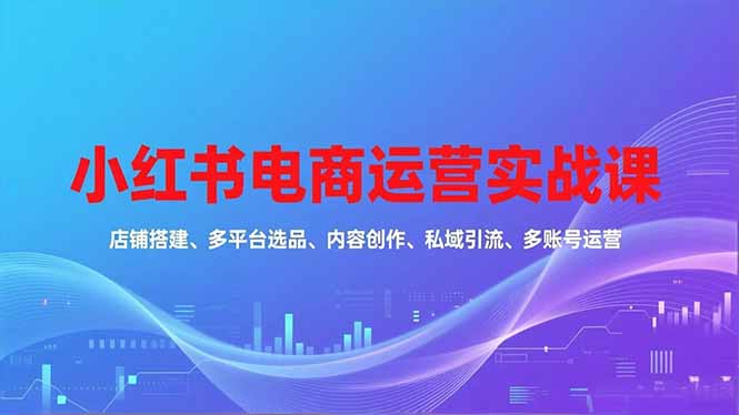 小红书电商运营实战课，店铺搭建、多平台选品、内容创作、私域引流、多账号运营等玩法-旺仔资源库