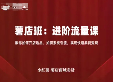 小红薯薯店商城卖货，进阶流量课，教你如何开店选品、如何系统引流，实现快速卖货变现-旺仔资源库