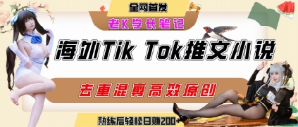 海外tiktok小说推文暴力项目，高停留率，高转化率，上手后一天搞顿饭钱不是问题-旺仔资源库