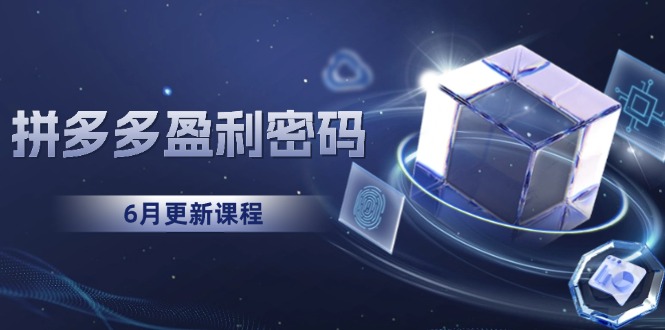 拼多多盈利密码：从烧钱推广到印钞模型，底层逻辑重构指南(6月更新-旺仔资源库