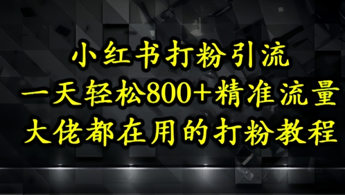 小红书打粉引流，一天轻松500+精准流量，大佬都在用的打粉教程-旺仔资源库
