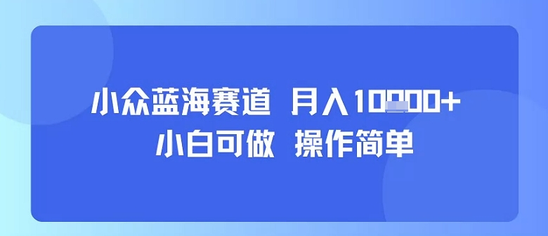 小众蓝海赛道，小白可做，操作简单，每天30分钟，月入1W+-旺仔资源库
