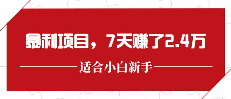 最新暴利项目，每单收益轻松在300以上，7天赚了2.4万-旺仔资源库
