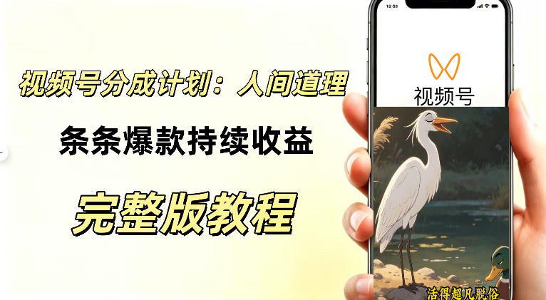 视频号新玩法之AI动漫画风励志视频,不用会画画、不用拍摄,持续化收益,详细拆解-旺仔资源库