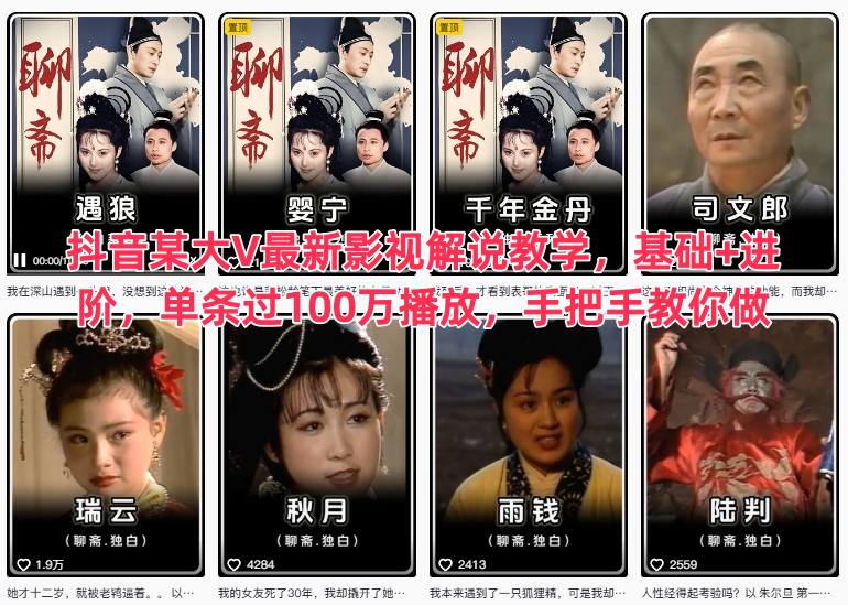 抖音某大V最新影视解说教学，基础+进阶，单条过100万播放，手把手教你做-旺仔资源库