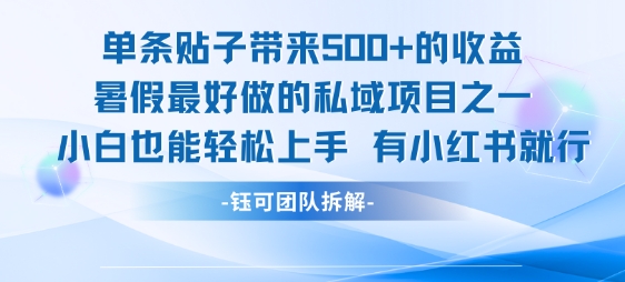 单条贴子带来5张的收益，暑假最好做的私域项目之一，小白也能轻松上手，有小红书就行-旺仔资源库
