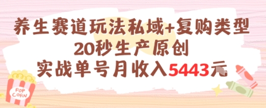 养生赛道玩法私域+复购类型，20秒生产原创实战单号月收入5k+-旺仔资源库