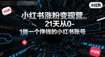 小红书涨粉变现营，21天从0-1做一个挣钱的小红书账号-旺仔资源库