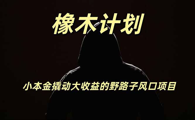橡木计划,小投入撬动高回报的风口野路子项目,一天投入2小时左右-旺仔资源库