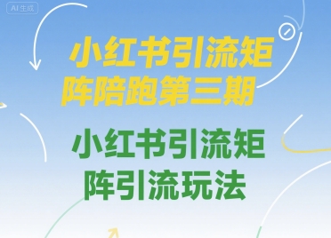 小红书引流矩阵陪跑第三期，小红书引流矩阵引流玩法-旺仔资源库