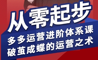 拼多多运营进阶系统课，从零起步，多多运营进阶体系课，破茧成蝶的运营之术-旺仔资源库