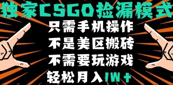 CSGO自动捡漏项目，最新独家玩法，不是美区搬砖，不需要了解和玩游戏，新手小白轻松月入1W+【揭秘】-旺仔资源库