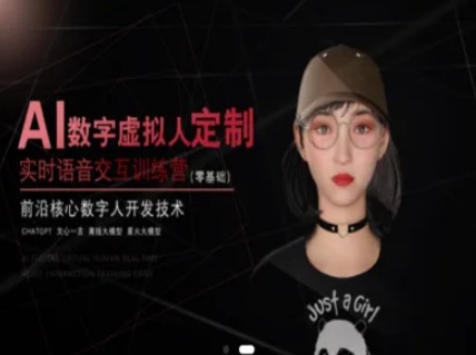AI数字虚拟人定制，实时语音交互训练营(零基础)，前沿核心数字人开发技术-旺仔资源库