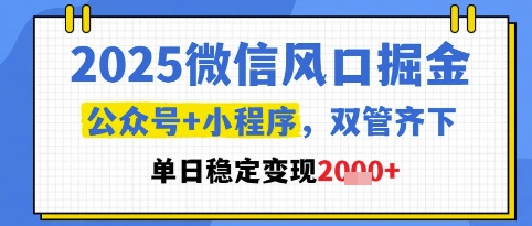 2025微信风口掘金，公众号+小程序双管齐下，单日稳定变现1k+【揭秘】-旺仔资源库