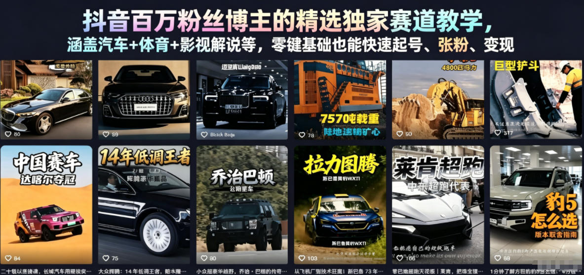 抖音百万粉丝博主的精选独家赛道教学,涵盖汽车+体育+影视解说等,零基础也能快速起号、涨粉、变现-旺仔资源库