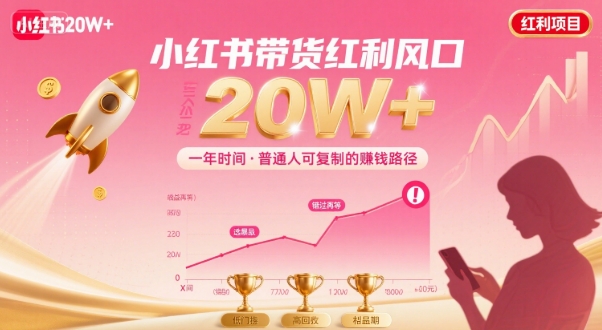 一年时间靠小红书带货项目年入20w+，最不能错的大红利项目-旺仔资源库