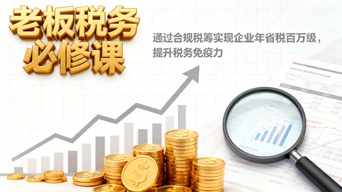 老板税务必修课,通过合规税筹实现企业年省税百万级,提升税务免疫力-旺仔资源库