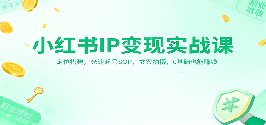 小红书IP变现实战课：定位搭建，光速起号SOP，文案拍摄，0基础也能赚钱-旺仔资源库