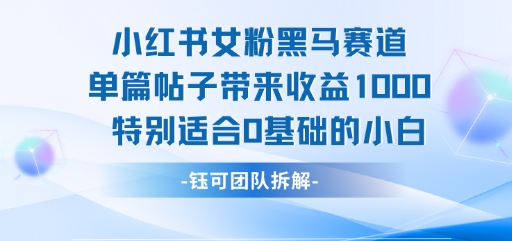 小红书女粉黑马赛道单篇帖子带来收益1k+，特别适合0基础的小白-旺仔资源库
