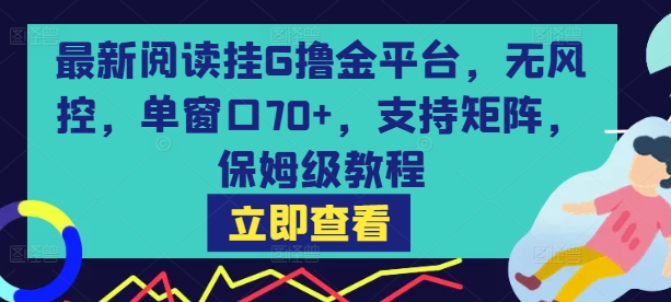 最新阅读挂G撸金平台，无风控，单窗口70+，支持矩阵，保姆级教程【揭秘】-旺仔资源库