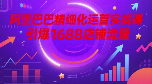 阿里巴巴精细化运营实战课，引爆1688店铺流量-旺仔资源库