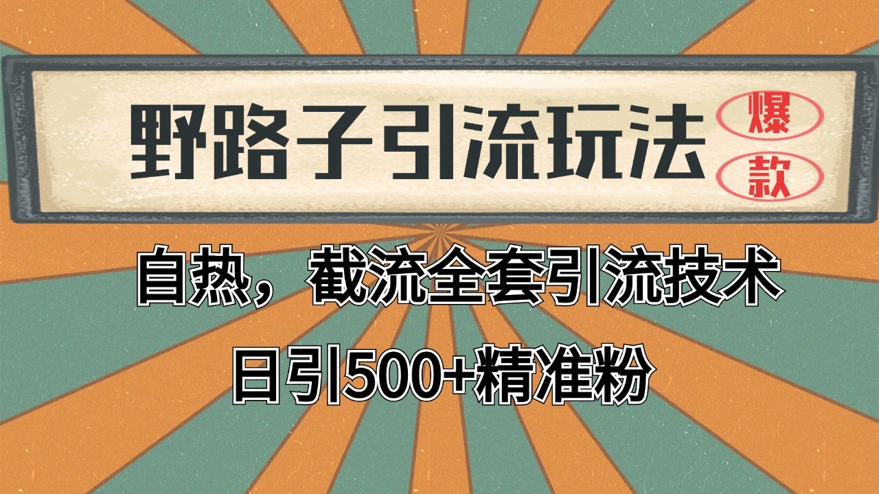 2024首发野路子引流玩法截流自热全平台打法，全自动引流【日引2000+精准客户】-旺仔资源库