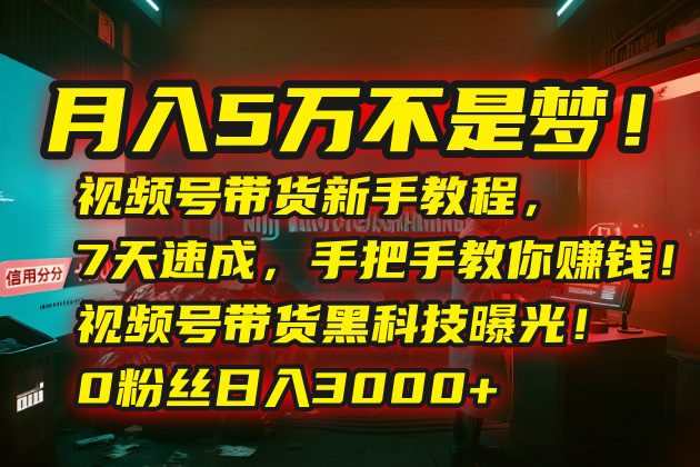 月入5万不是梦！视频号带货新手教程，7天速成，手把手教你赚钱！视频号...-旺仔资源库