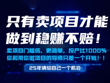 只有卖项目才能做到稳挣不赔，门槛低，更简单，你也可以年入百个W【揭秘】-旺仔资源库