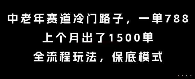 中老年赛道冷门路子，一单788，上个月出了1500单，全流程玩法，保底模式【揭秘】-旺仔资源库
