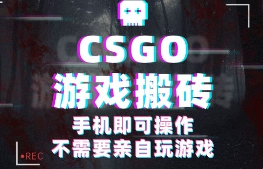 CSGO游戏挂G捡漏，单日扫货5张+，年底小高峰上车可吃肉，手机即可操作，兼职副业创业网创【揭秘】-旺仔资源库