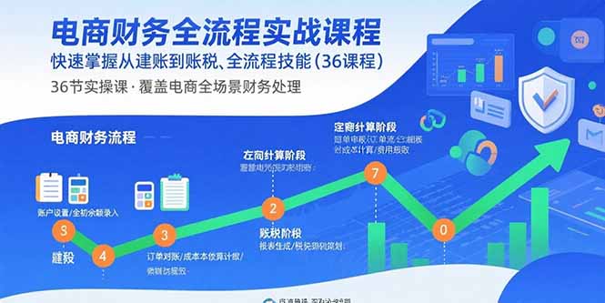电商财务全流程实战课程：快速掌握从建账到报税的全流程技能(36节课-旺仔资源库