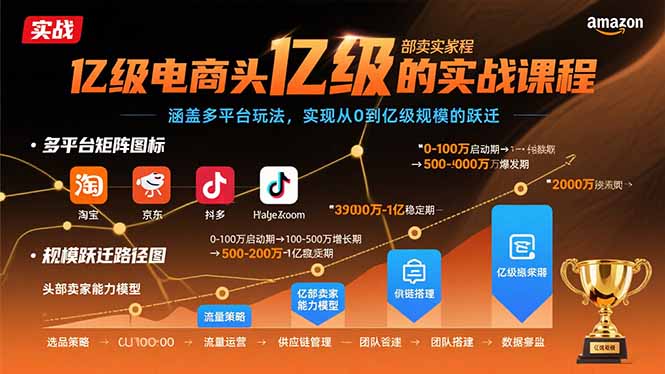 亿级电商头部卖家的实战课程：涵盖多平台玩法，实现从0到亿级规模的跃迁-旺仔资源库